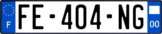 FE-404-NG