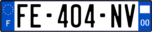 FE-404-NV
