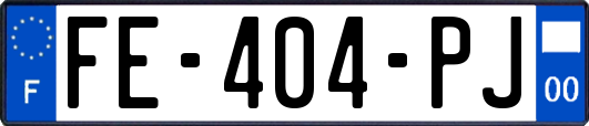 FE-404-PJ