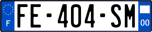 FE-404-SM