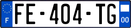 FE-404-TG