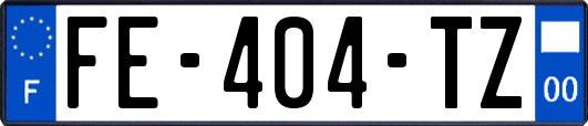 FE-404-TZ