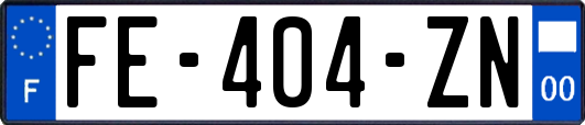 FE-404-ZN