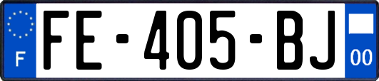 FE-405-BJ