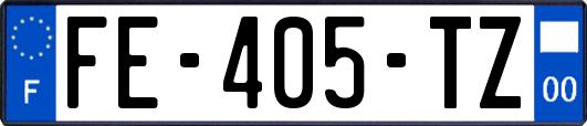 FE-405-TZ