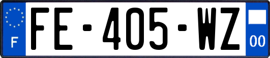 FE-405-WZ