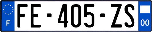 FE-405-ZS