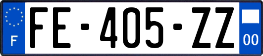 FE-405-ZZ