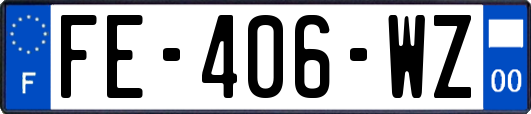 FE-406-WZ