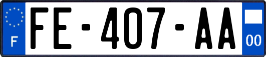 FE-407-AA