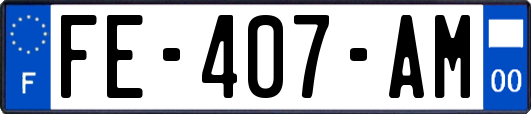 FE-407-AM