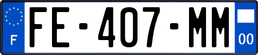 FE-407-MM