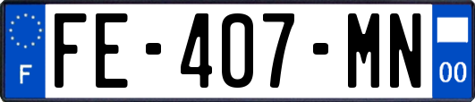FE-407-MN