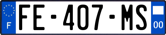 FE-407-MS