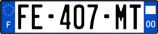 FE-407-MT