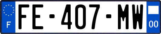 FE-407-MW