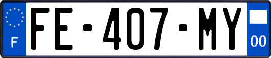 FE-407-MY