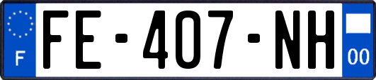 FE-407-NH