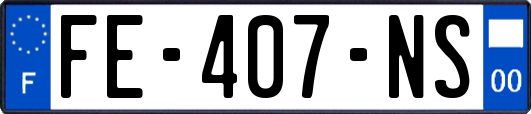 FE-407-NS