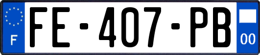 FE-407-PB