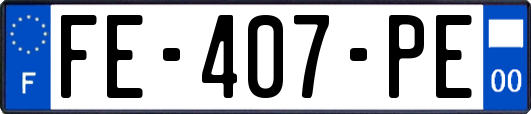 FE-407-PE