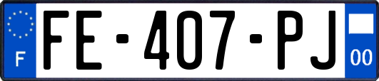 FE-407-PJ