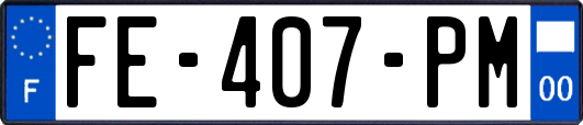 FE-407-PM