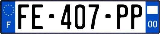 FE-407-PP