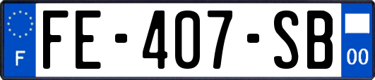 FE-407-SB