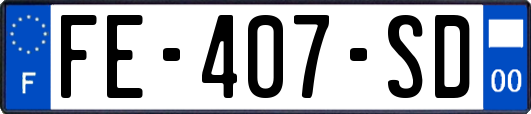 FE-407-SD