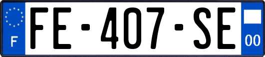 FE-407-SE
