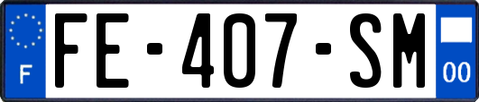 FE-407-SM