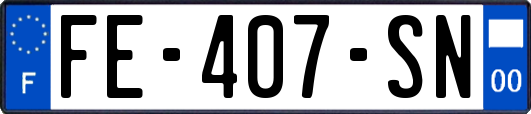 FE-407-SN