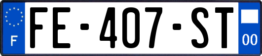 FE-407-ST