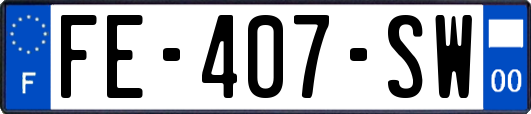 FE-407-SW