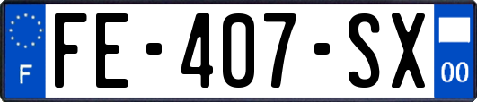 FE-407-SX
