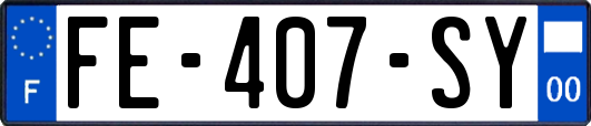 FE-407-SY