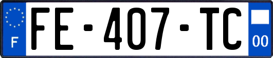 FE-407-TC