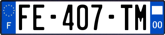 FE-407-TM