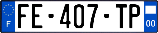 FE-407-TP