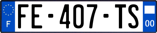 FE-407-TS