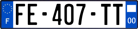 FE-407-TT