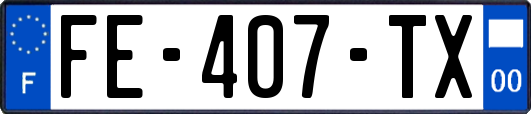 FE-407-TX