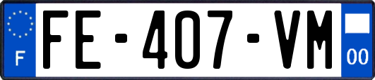 FE-407-VM