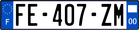 FE-407-ZM