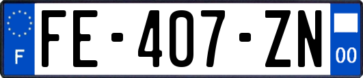 FE-407-ZN