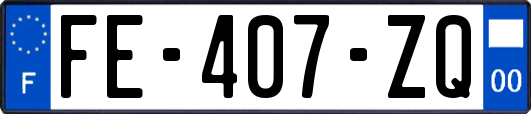 FE-407-ZQ