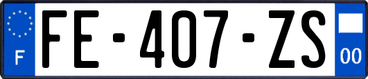 FE-407-ZS