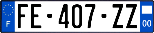 FE-407-ZZ