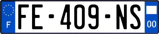 FE-409-NS